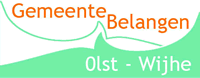 Gemeentebelangen Olst-Wijhe